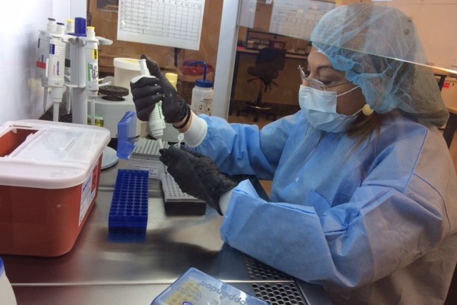 A biology trainee processes test samples in a laboratory safety hood.